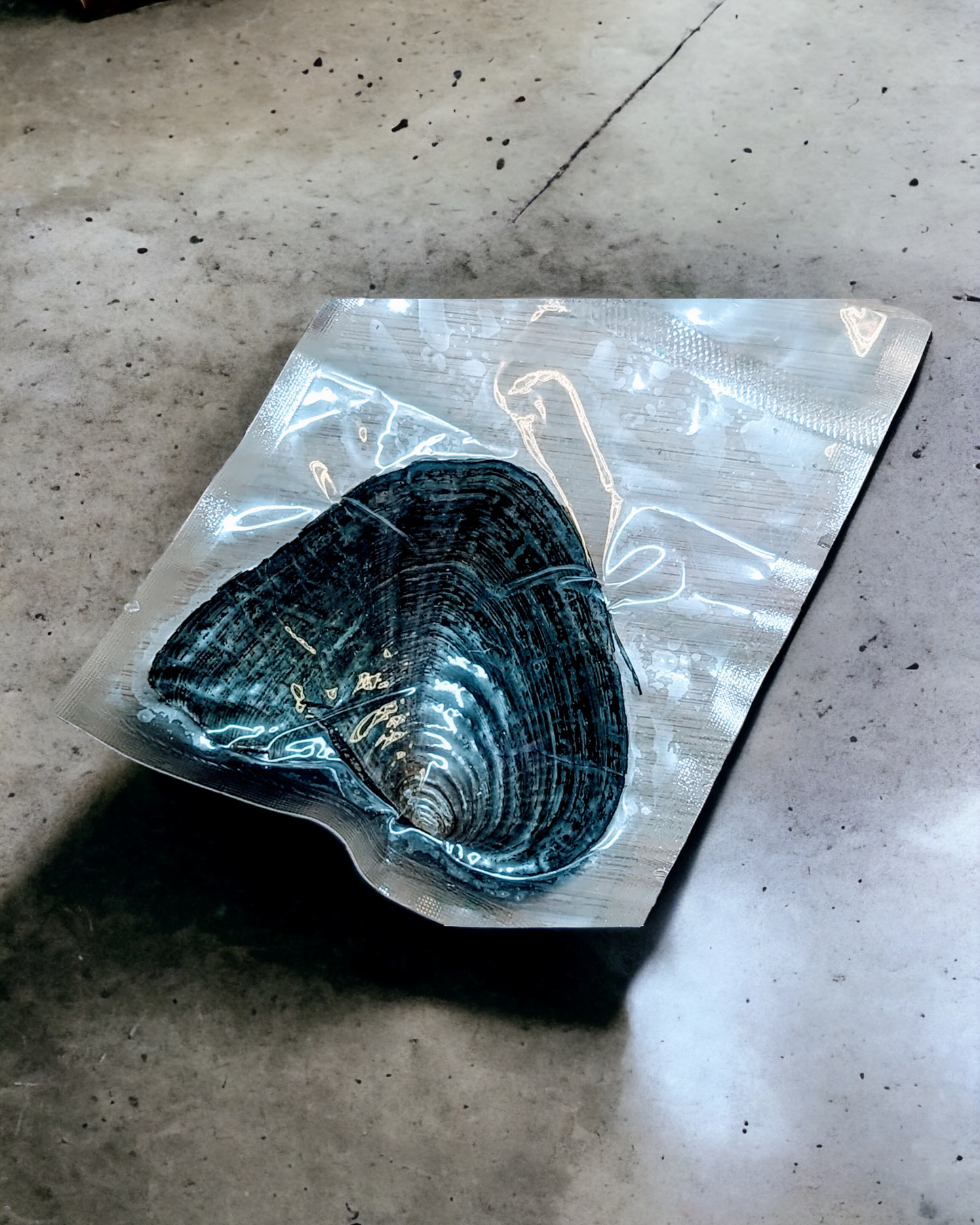 Mega_Pearl_Monster_PearlEnvy